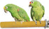 Bird Perchs 4-Piece Set, Natural Colorful Wood Perch Platform, Paw Grinding Stick, Bird Cage Accessories for Parakeets