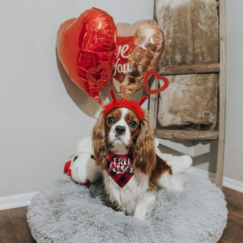 Valentines Day Dog Costume, Red Heart Headband and Buffalo Plaid Pet Bandana