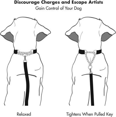 Friends Forever Martingale Collars for Dogs - Reflective No Pull Dog Collar for Training Large/Medium Breed Dogs, Medium