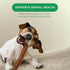 6 Inch 8oz MASSTICK Normal Bully Sticks for Dogs Thick Minimal Odor Beef Dog Chews Fully Digestible Chew Sticks
