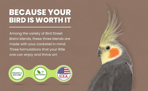 3 Pack 3-15 Bird Street Bistro Cockatiel Food Sample - Cooks in min w/Natural Whole Grains - Healthy Non-GMO Fruits