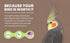 3 Pack 3-15 Bird Street Bistro Cockatiel Food Sample - Cooks in min w/Natural Whole Grains - Healthy Non-GMO Fruits