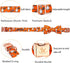 Elegant little tail Halloween Dog Collar, Fall Orange Pumpkin Adjustable Bow Collar for Small Dogs