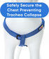 Pawtitas Adjustable Reflective Dog Harness, Small Blue, Step-in for Senior Dogs to Puppies, S Vest