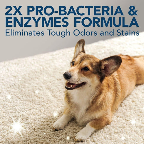 Simple Solution Pet Stain and Odor Remover | Enzymatic Cleaner with 2X Pro-Bacteria Cleaning Power, 32 Ounces