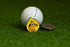 This is Fine Meme Golf Ball Marker with Magnetic Hat Clip - Funny Golf Gift for Men, Kids - Golf Accessories and Gifts