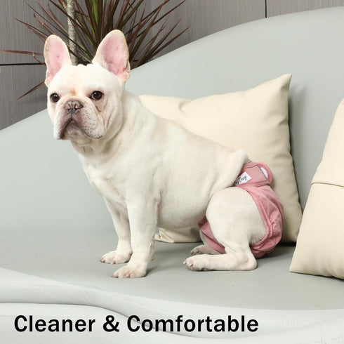 Dogs,4 Pack JoyDaog Female Dog Diapers for Large Reusable Washable Premium Doggie Diapers for Heat,Incontinence,Period