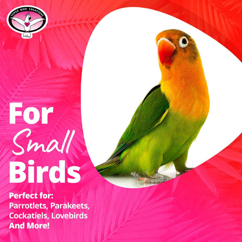 Super Bird Creations Mini Munch Balls Bird Toy, 24-Pack