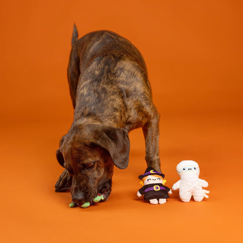 3 Set,Pet (662192) Fringe Studio Pet Toy, Ghouls Wanna Have Fun Plush Dog Toy PCS Shop Collection