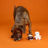 3 Set,Pet (662192) Fringe Studio Pet Toy, Ghouls Wanna Have Fun Plush Dog Toy PCS Shop Collection