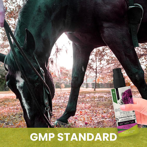 Recommended 8 oz Holistic Natural Derived Calming Pet Spray for Anxiety: Providing Stress Relief: Veterinarian - Made