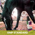 Recommended 8 oz Holistic Natural Derived Calming Pet Spray for Anxiety: Providing Stress Relief: Veterinarian - Made