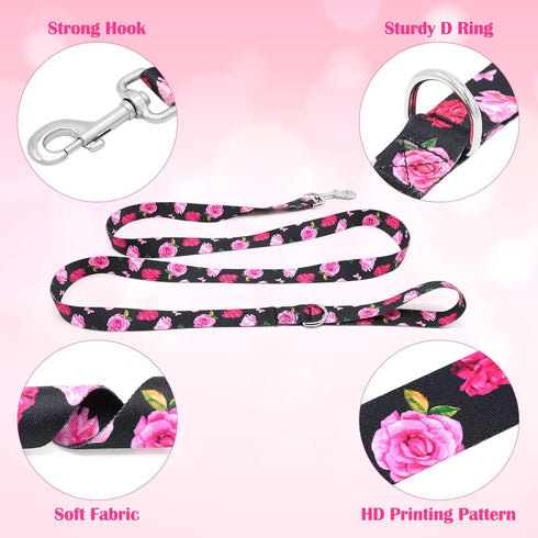 5 ft Black Dog Leash for Medium Breed Dogs, Girl