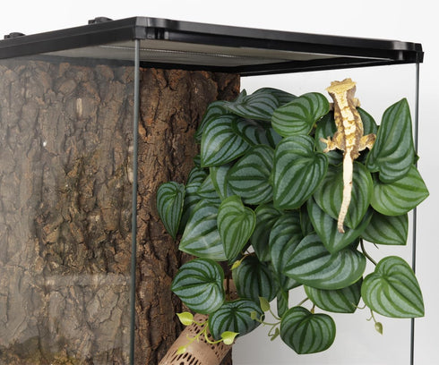 WOLEDOE Reptile Plants for Terrarium, Amphibian Habitat Decor Artificial Hanging Plants with Suction Cup - Fake