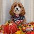 BoomBone 4 Pack Thanksgiving Dog Bandanas, Pumpkin Turkey Triangle Bibs Pet Scarf