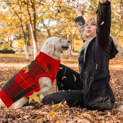QBLEEV Dog Christmas Sweater for Small Dogs, Warm Knitwear Pullover Holiday Sweaters for Girls Boys XS
