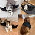 Cat Halloween Costume with Bat Wings, Pet Apparel for Halloween Party Dress Up for Cats and Small Dogs