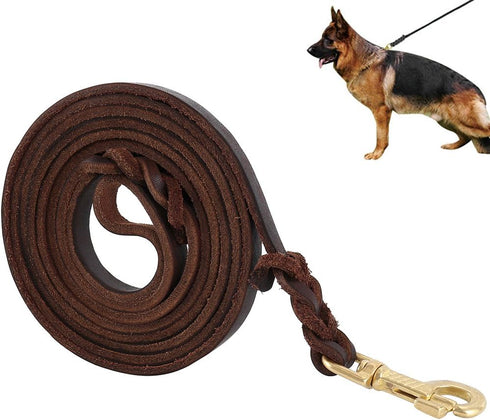 Premier Braided Leather Dog Leash 6/8/10 ft for Strong Medium Large Dogs, Heavy Duty Training Leash (10FT)