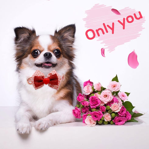 azuza Valentine's Day Dog Collar Removable Valentine Bowtie Dog Collar with Romantic Pink Sparkly Hearts Pattern Adjustable Spring Dog Collar Valentines Day Gifts for Small Dogs