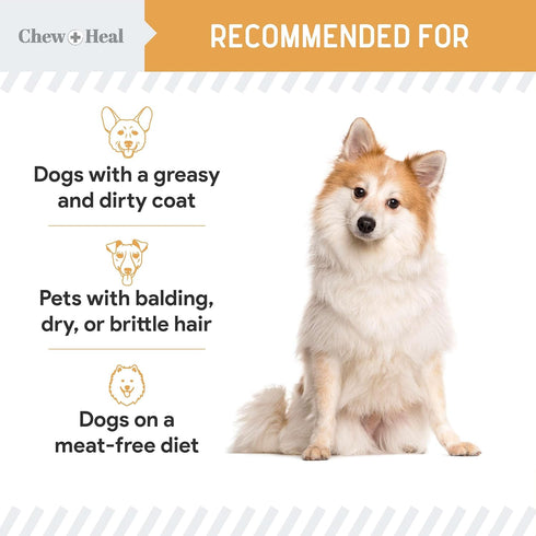 Chew + Heal Labs Omega Salmon Jerky Dog Treats, 12 oz, Soft Salmon Jerky for Skin and Coat
