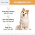 Chew + Heal Labs Omega Salmon Jerky Dog Treats, 12 oz, Soft Salmon Jerky for Skin and Coat