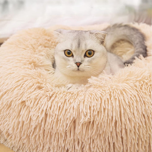 Nisrada Cat Beds for Indoor Cats, 20 Inch Dog Bed for Small Medium Large Dogs, Washable Round Pet Bed for Puppy and