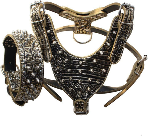 Leather Spiked Studded Medium & Large Dog Collars, Harnesses, 2Pcs Matching Set for Pit Bull, Mastiff, Boxer (Gold