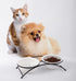 Ceramic Elevated Pet Bowls - Dishwasher Safe Cat & Dog Raised Food Bowls, 12 Ounce