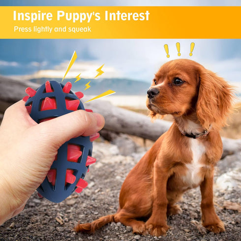 Dog Spiky Toy Ball with Squeaker, Floating Chewing Fetching and Interactive Play (2pc Kit)