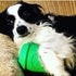 SodaPup Coffee Cup – Durable Dog Treat Dispenser & Chew Toy Made in USA from Non-Toxic Natural Rubber Material