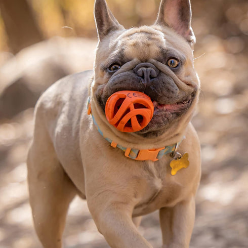 (2 Inch 0-20 lbs, Pack 2 Chuckit! Air Fetch Ball Dog Toy, Small Diameter), for dogs