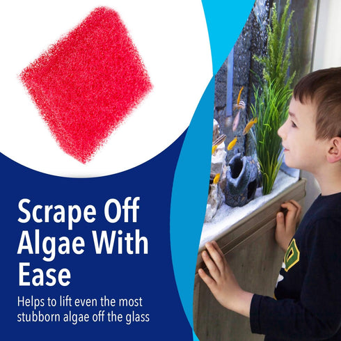 Evergreen Pet Supplies Aquarium Supplies Glass Cleaner Sponge - 4-Pack, Red, 3.25-in x 3.25-in x 1-in - Non-Scratch