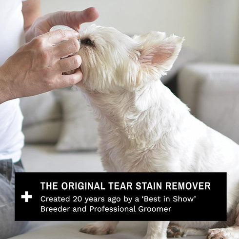 Eye Envy Dog Tear Stain Remover Starter Kit, 100% Natural, Safe, Lasts 30-45 Days, Made in USA
