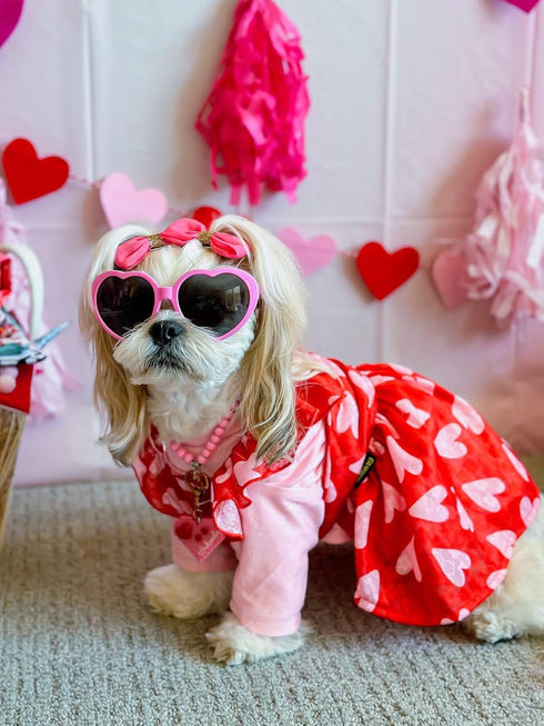 Fitwarm Valentines Day Sweet Heart Dog Dress, Holiday Outfit for Small Dogs Girl, Pet Cat Apparel, Red, Pink, Small