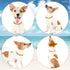 2 Pieces Gold Dog Link Chain Necklace, ABS Plastic Golden Collar Chain for Dogs, Puppy Costume (10 Inch (25+7 cm))