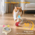 Coficoee 2 3 5 Interactive Cat Toys for Indoor Automatic Cat Balls Hide and Seek in Pouch, with Balls Tails Play Mat