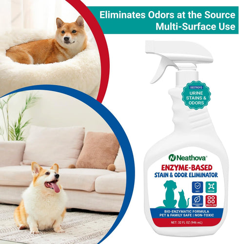Neathova Stain & Strong Odor Eliminator, Enzyme Cleaner, Pet Odor Eliminator for Home - Carpet Stain Remover for Cats