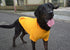 Lovelonglong 100% Cotton Blank Basic Hoodie Sweatshirt for Dogs, Fits Small Medium Dachshund Large Dog, Orange D-L