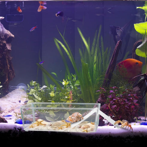 2 Pack Transparent Hermit Crab Water Tanks with Cuttable Climbing Ramp, Ideal Habitat for Crabs