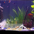 2 Pack Transparent Hermit Crab Water Tanks with Cuttable Climbing Ramp, Ideal Habitat for Crabs