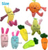 Cute Carrot Fruits Dog Squeaky Toys, Dog Toy for Pet Puppy Small Dog - Pack of 13