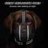 Dog Muzzle, Mesh Soft Muzzle for Small Medium Large Dogs, Breathable Adjustable for Grooming and Chewing