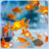 Aquarium Fish Shrimp Feeding Dish Set with Clear Feeder Tube, Cleaning Brush, and Measuring Spoon