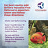DrTim's Aquatics First Defense 32oz for Freshwater Aquariums – Stress Relief & Immune Support with Vitamins &