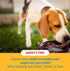 Pig Ears for Dogs, 100% Natural Long Lasting Pork Chews, Ideal for All Chewers, Half Pig Ears (One Pack of 30)