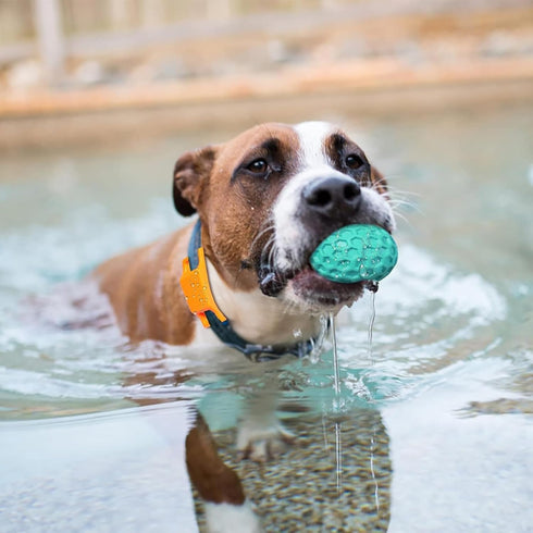 Indestructible Dog Squeaky Balls, Durable Tough Chew Toys for Aggressive Chewers, Natural Rubber Interactive Toys