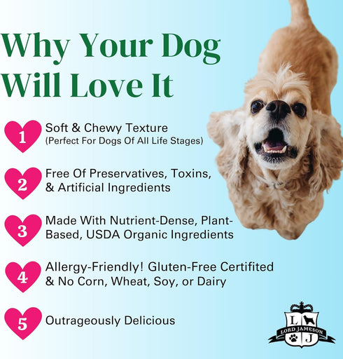 Pumpkin Spice Dog Patisserie Treats, 6 oz - Fall Holiday Collection, Organic, Soft & Chewy Superfood Bites