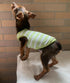YQYS Dog Shirts Multi-color Striped Cotton Vest for Small Dogs and Cats, Teacup Dog Clothing Tank Top