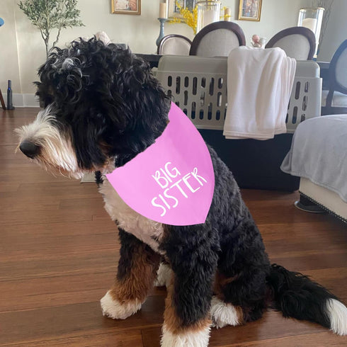Big Sister Dog Bandanas Pink Dog Scarfs for Small Medium Large Dogs, New Baby Announcement Pet Accessories Pregnancy