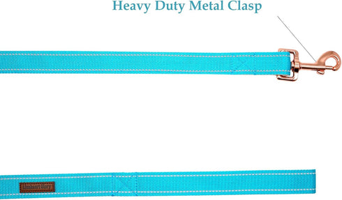 Lionheart Glory Dog Leash, Reflective Adjustable Durable Soft Classic Leash for Medium Dogs, Pet Gift